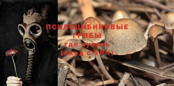 mdpv Арсеньев