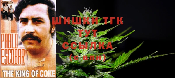 бошки Балахна