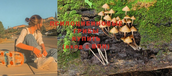 соль курить ск Аркадак