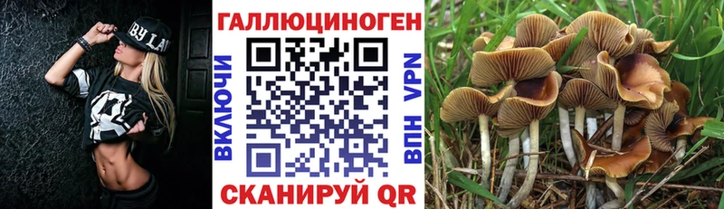 Галлюциногенные грибы Psilocybine cubensis  дарнет шоп  Барыш 